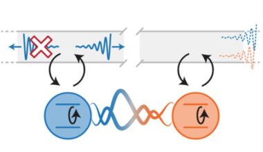 quantum dissipation