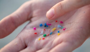 Scientists Tested 17 Human Artery Samples – And Found Microplastics in Every Single One : ScienceAlert