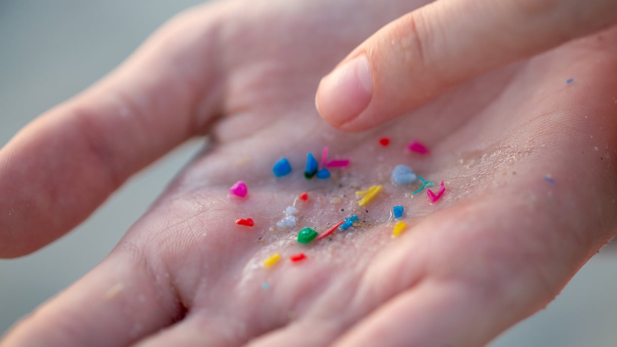 Scientists Tested 17 Human Artery Samples – And Found Microplastics in Every Single One : ScienceAlert