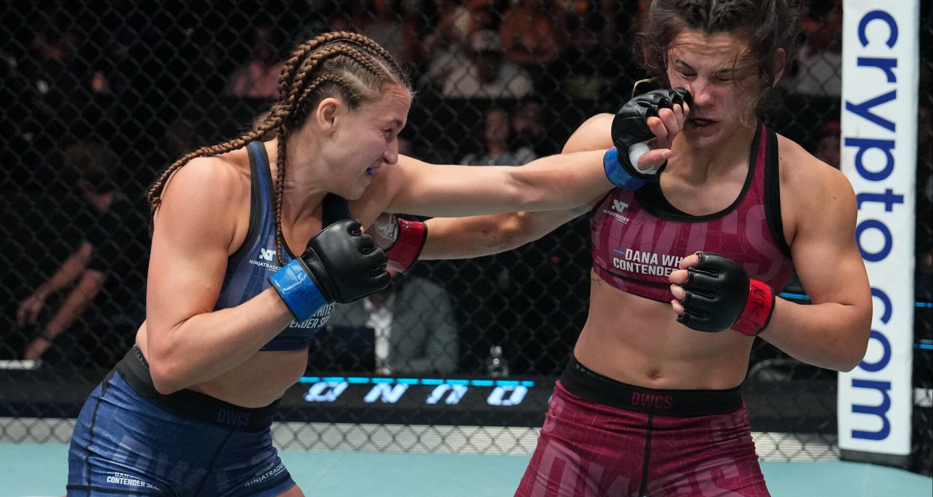 Alex Apodaca punches Bella Mir