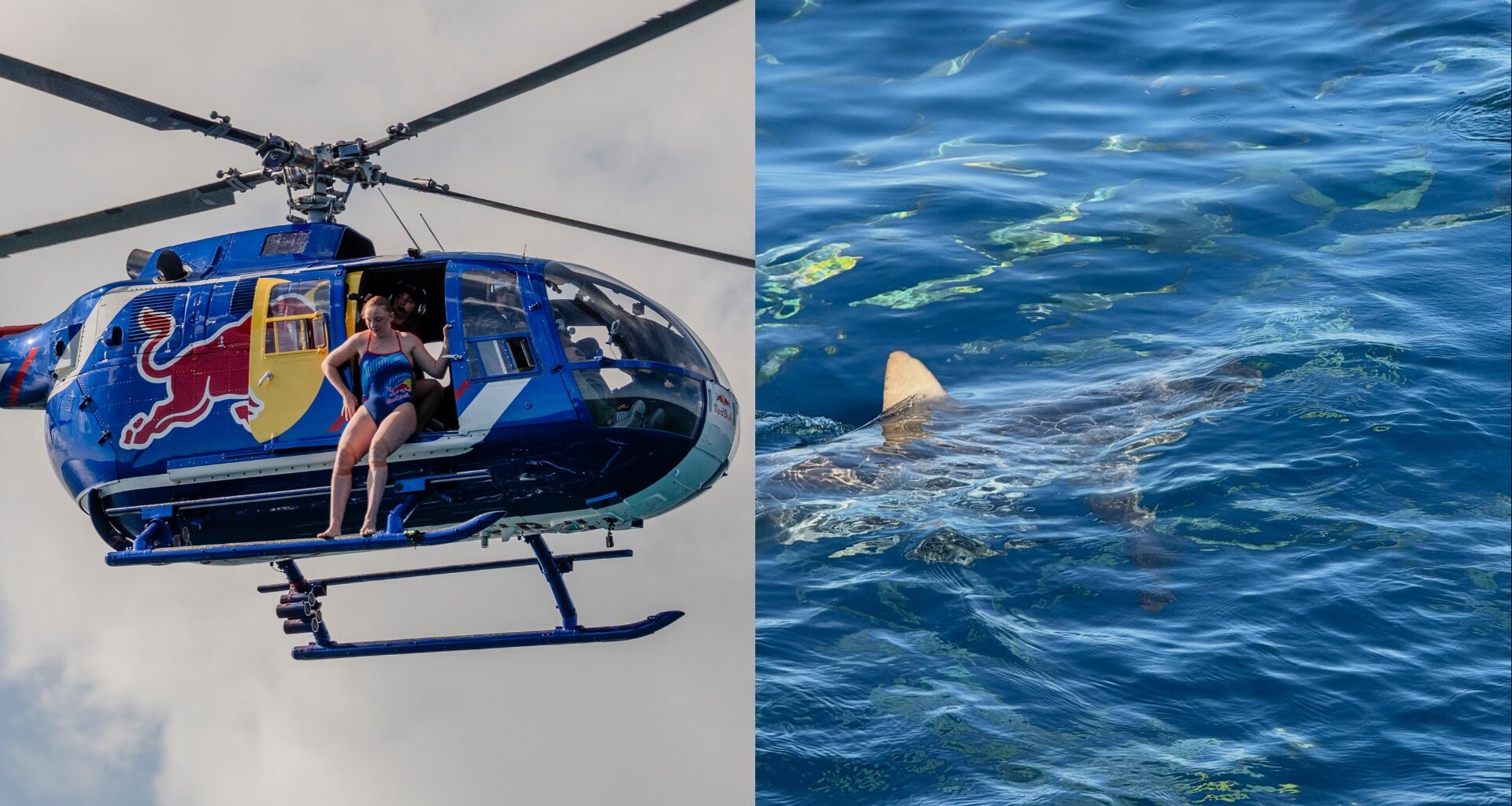After shark plunge, Montreal diver training for new challenge