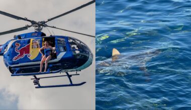 After shark plunge, Montreal diver training for new challenge