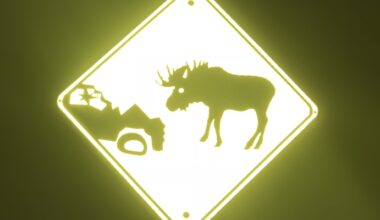 Government Not Responsive Enough on Moose Safety Measures, Says Advocate