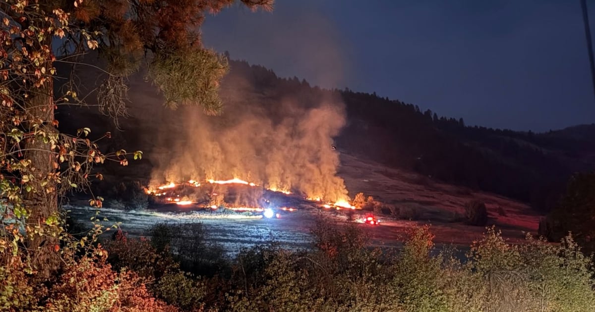 ‘Suspicious’ wildfires under investigation in Grand Forks, B.C. - CTV News