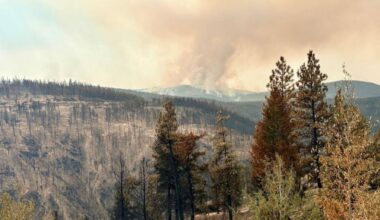 No growth on Summerland’s Bald Range wildfire, evaction orders remain