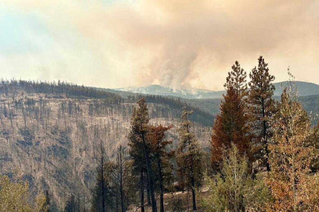 No growth on Summerland’s Bald Range wildfire, evaction orders remain