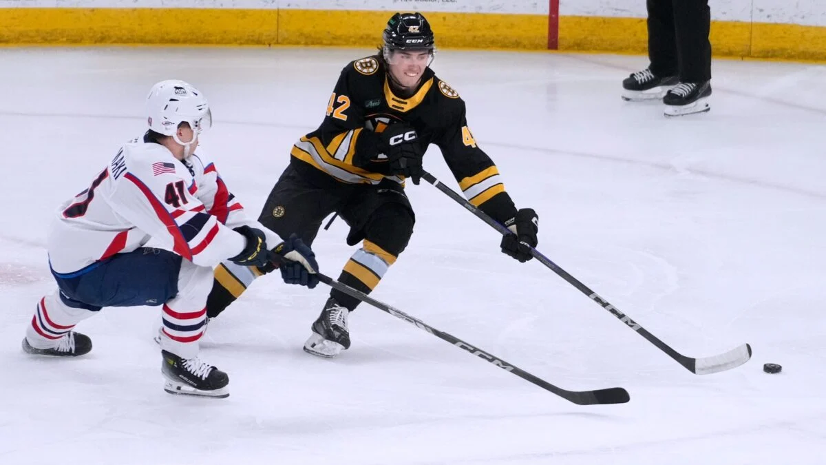 ‘He’s an NHL Player’: Bruins Have High Hopes for Frederic Brunet