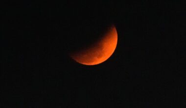 Reasons to look up in Atlantic Canada as ‘blood moon’ meets lunar eclipse - CTV News