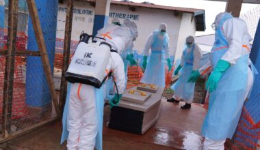 WHO chief in Congo supporting Ebola response