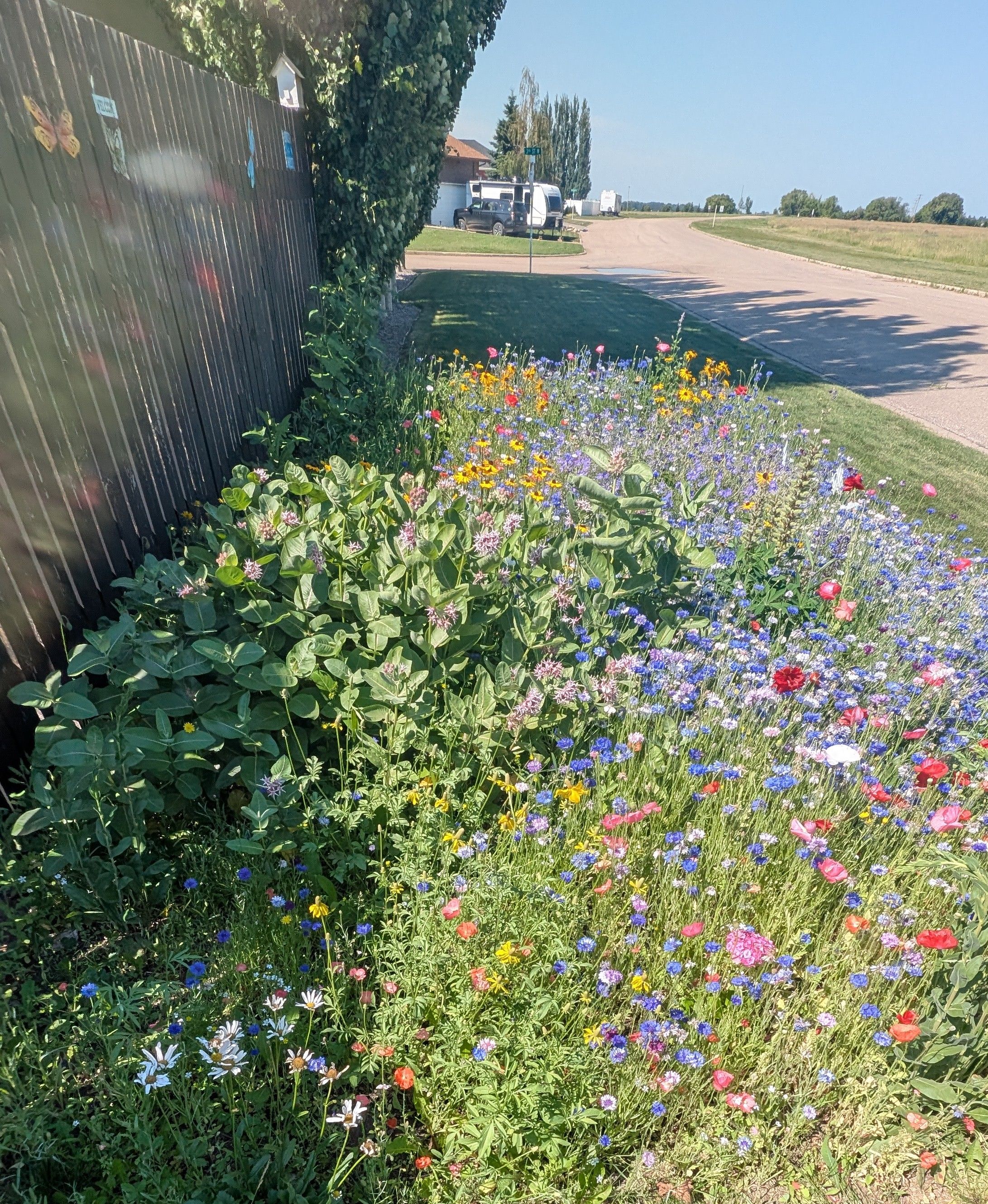 Pollinator Garden