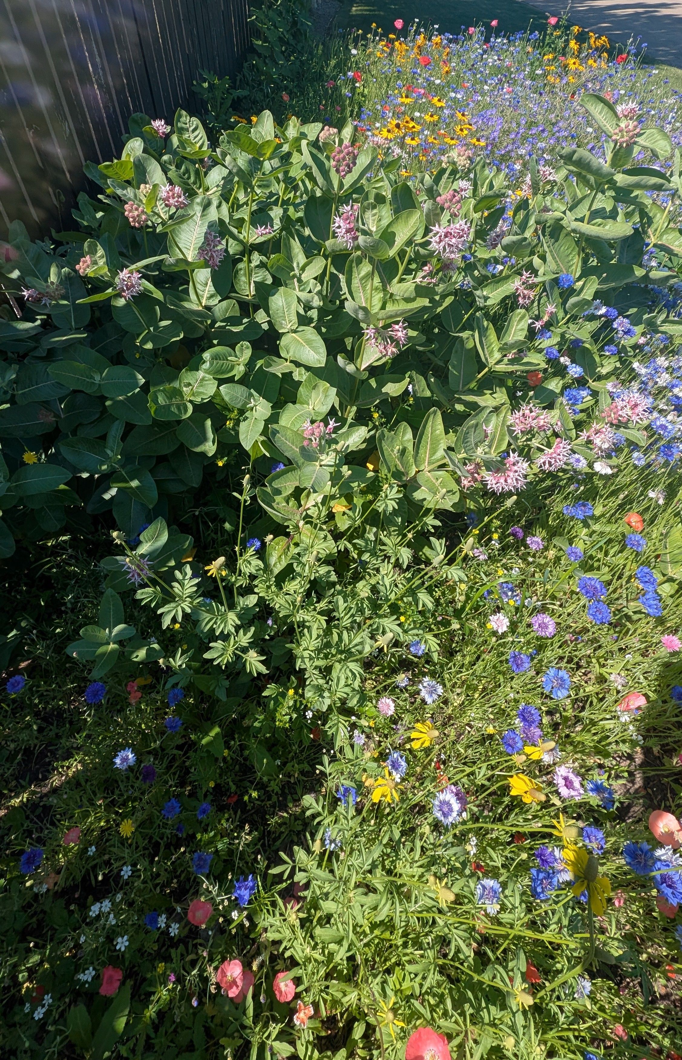Pollinator garden in Unity