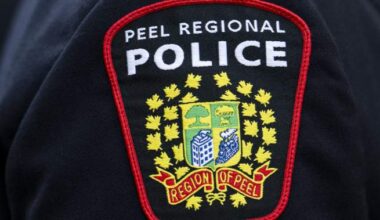 Stolen trucks, computer equipment totaling $800K recovered in Brampton