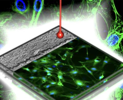 Illustration of the sustainable graphene-based neuroglial platform image