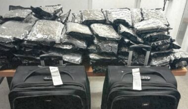 Two Air Canada employees arrested in connection with drug trafficking - CTV News