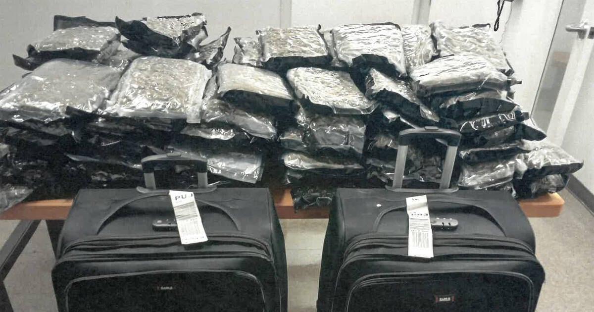 Two Air Canada employees arrested in connection with drug trafficking - CTV News