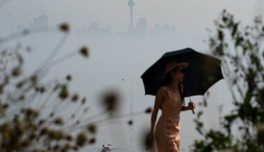 Toronto long weekend weather: Rain in the forecast