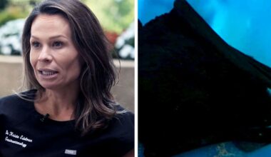 Virginia doctor woke up with a bat in her mouth