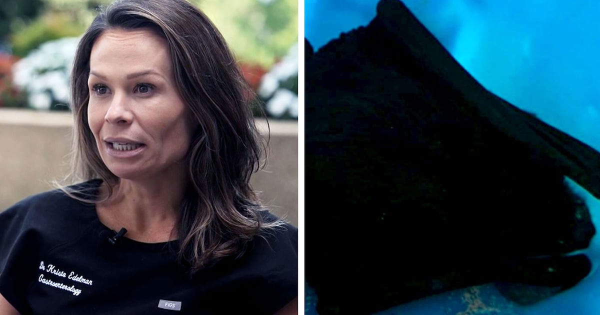 Virginia doctor woke up with a bat in her mouth