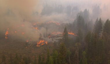 Letters to the editor, Aug. 22: ‘Wildfires are resulting in tragedies and profound losses … while those producing and selling fossil fuels prosper’
