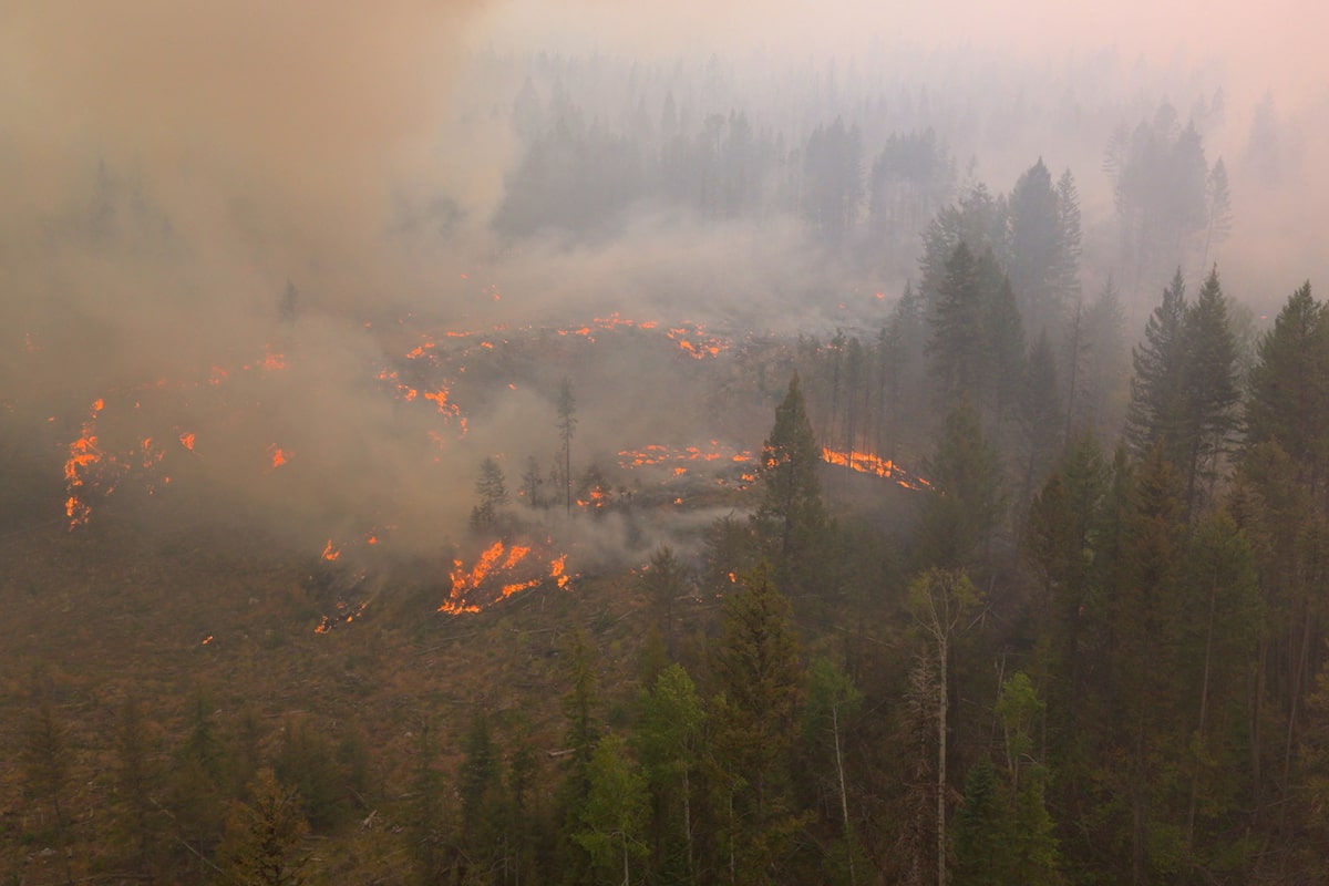 Letters to the editor, Aug. 22: ‘Wildfires are resulting in tragedies and profound losses … while those producing and selling fossil fuels prosper’