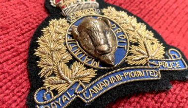 1 in hospital, 1 in custody after Lower Mainland shooting
