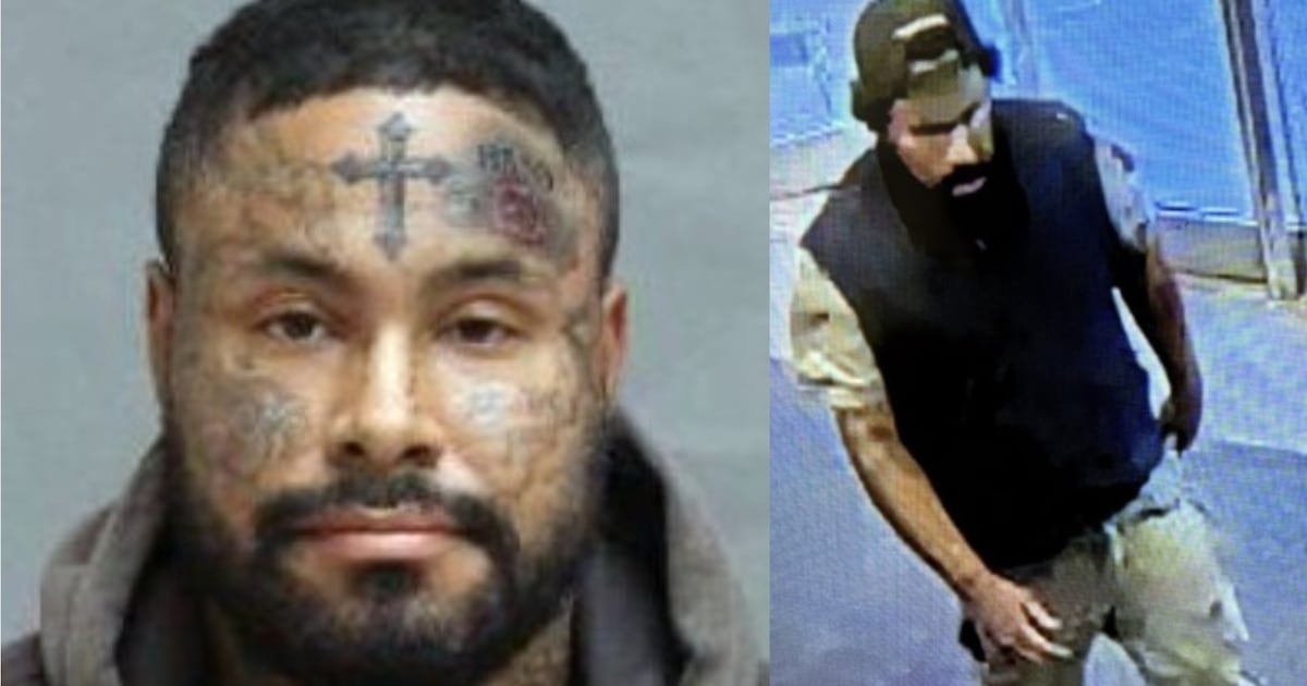 TTC worker stabbing: suspect identified