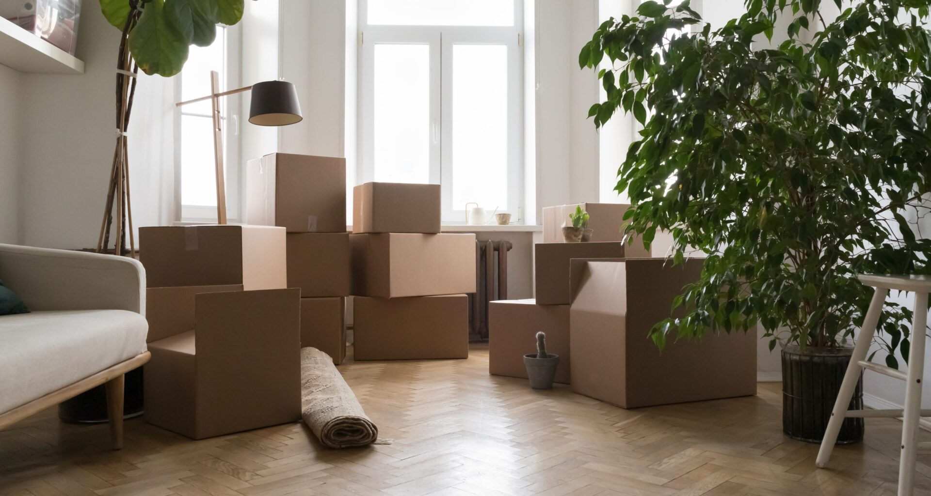 Attention landlords and tenants: New renovation and repair rules start September 1 – City of Mississauga