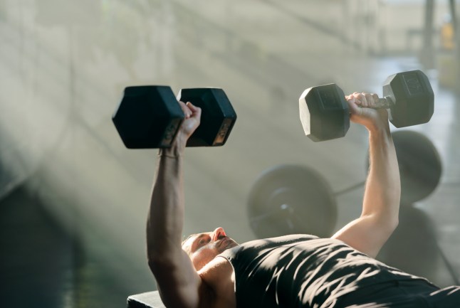 Young man lying on back on bench in cross training gym doing strength exercises lifting heavy dumbbells above chest, weight lifting, sports training, sports equipment