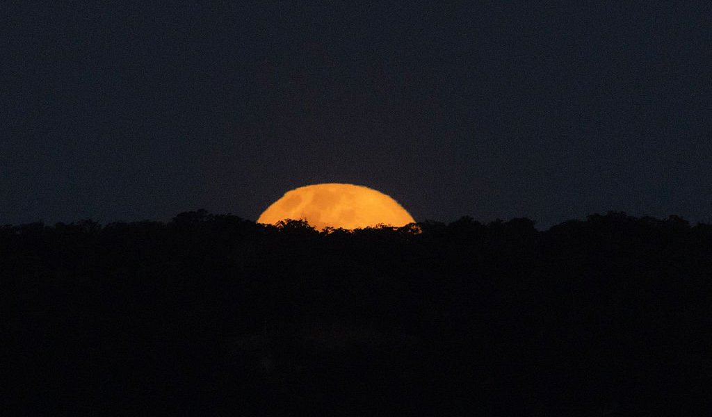 RYLSTONE, AUSTRALIA - AUGUST 28: A 'Sturgeon' full moon rises on August 28, 2026 in Rylstone, Australia. (Photo by Mark Evans/Getty Images)