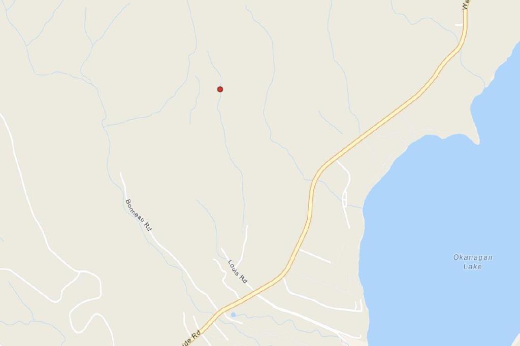 10-hectare wildfire sparks off Westside Road near Vernon