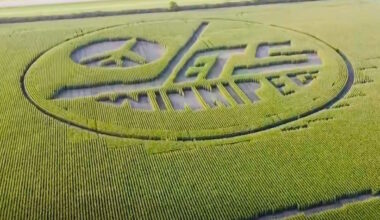 Glenboro corn maze returns with a surprise that has Winnipeg Jets fans talking - PortageOnline.com