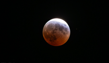 A fine view of the March 14th 2025 lunar eclipse. Credit: Marion Haligowski.