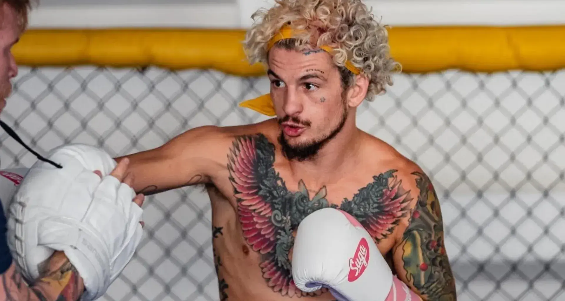 "Sugar" Sean O'Malley talks Petr Yan vs Merab Dvalishvili trilogy at UFC 333, possible rematch with the Russian MMA star