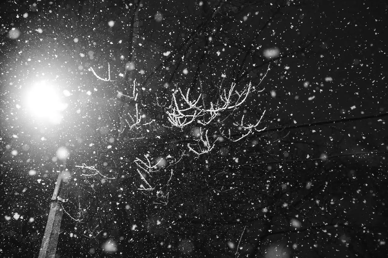 Big winter event being planned now in Mississauga