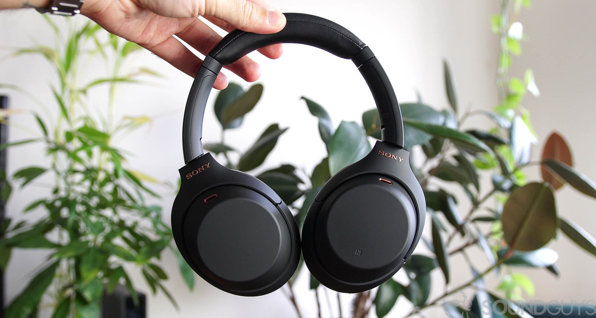 Man holding Sony WH-1000XM4 headphones in front of green plants