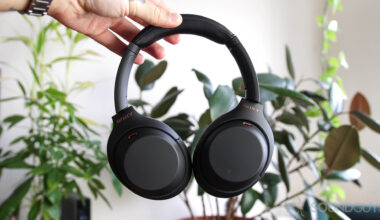 Man holding Sony WH-1000XM4 headphones in front of green plants