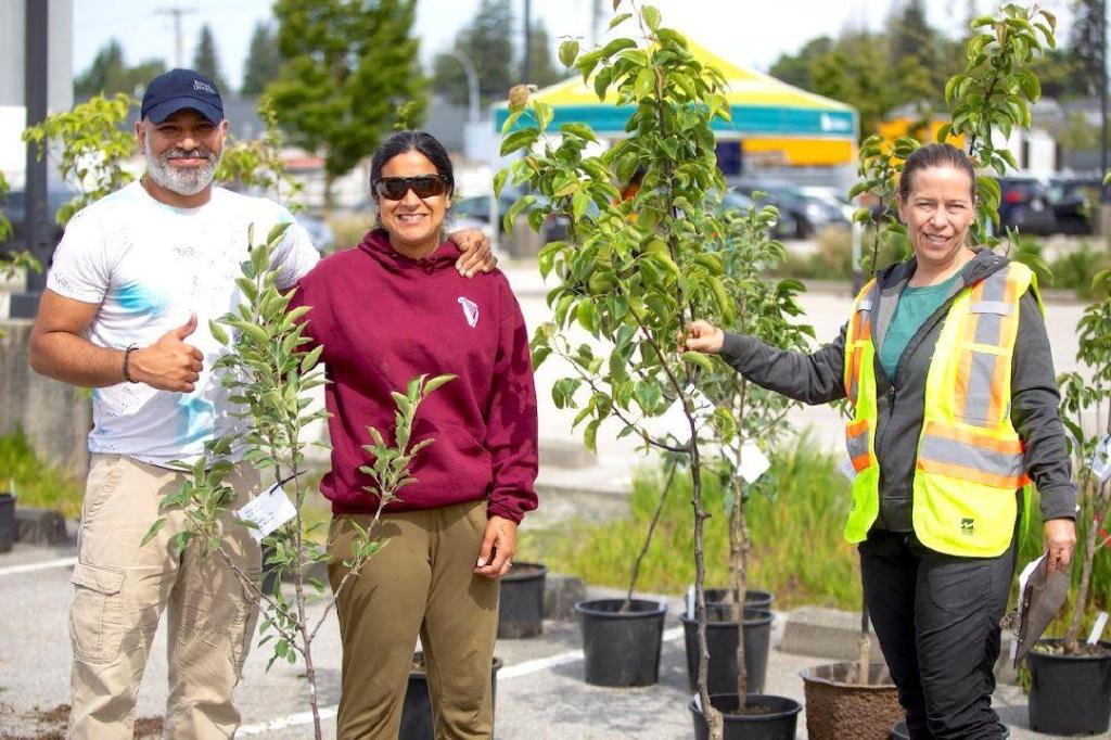 $20 tree sale for Surrey residents only this week