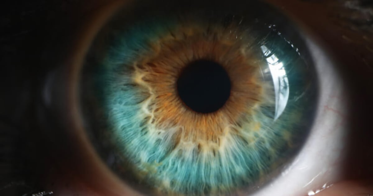 Catching up with eye health supplement science