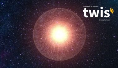 This Week in Science: Dyson Spheres, Hidden Amazon Structures, And More : ScienceAlert