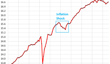 Inflation Exacts its Pound of Flesh: How Americans Earned their Income from All Sources except Capital Gains
