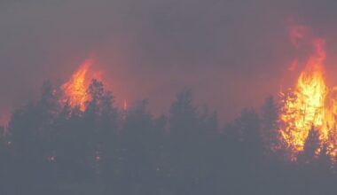 ‘Everything was orange’: Residents flee fast-moving B.C. wildfire - CTV News