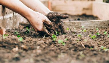 LETTER: Check your topsoil, gardeners