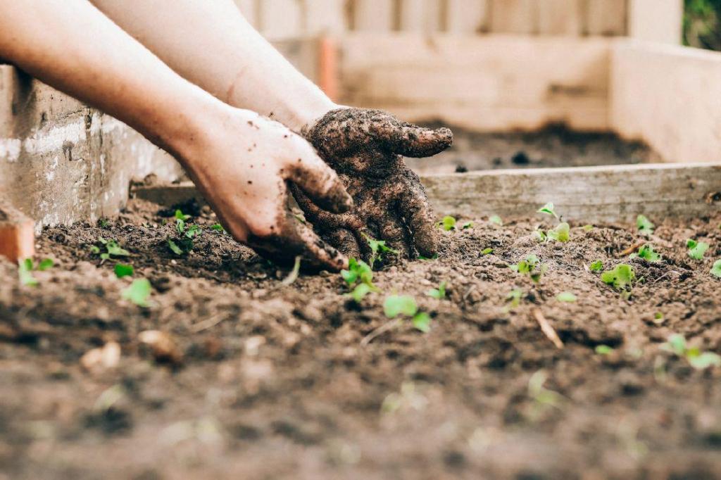 LETTER: Check your topsoil, gardeners