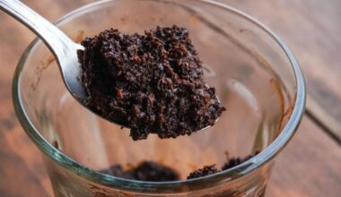 Used Wet Coffee Grounds