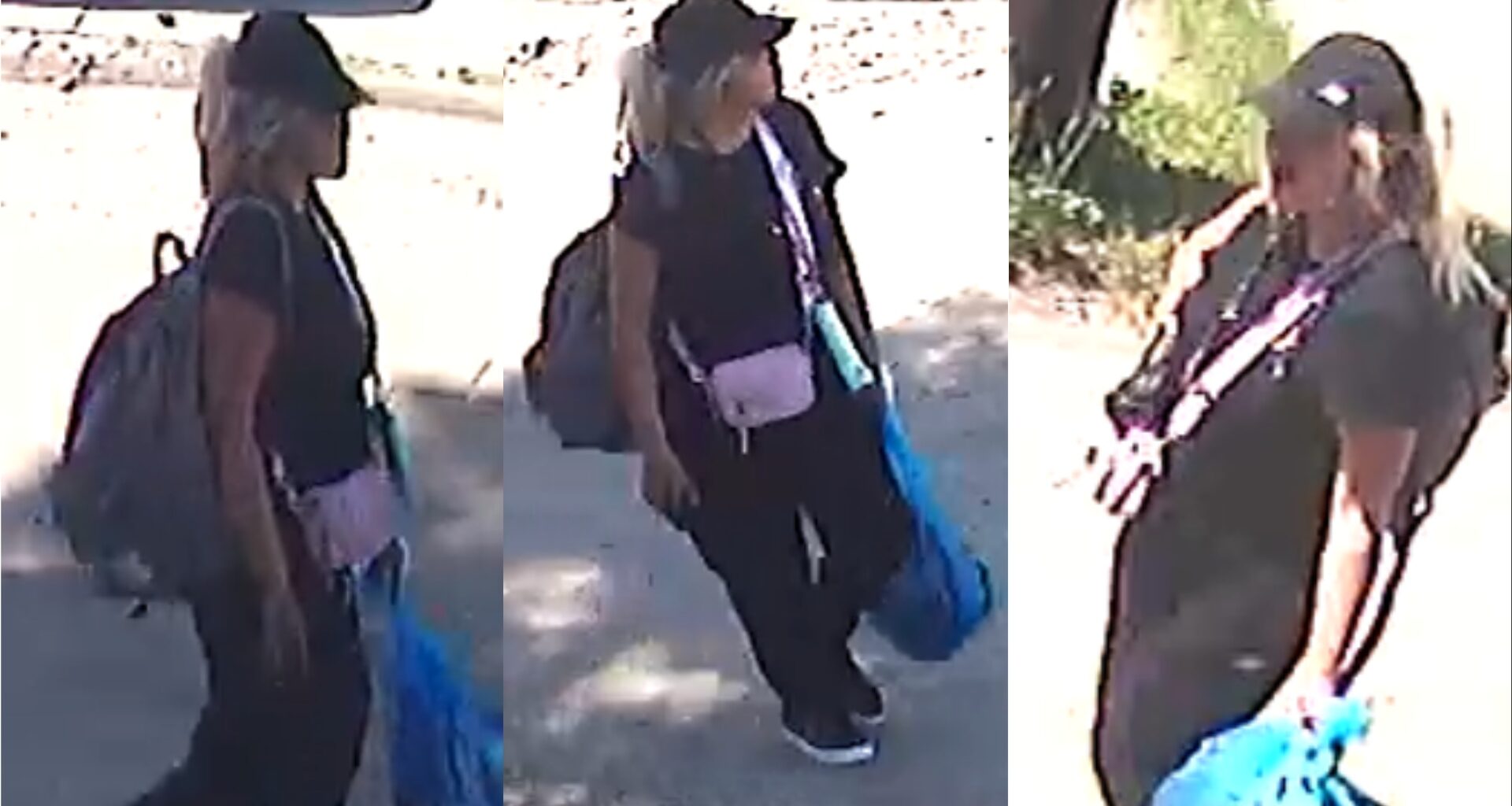 Edmonton police seek suspect in vehicle arson