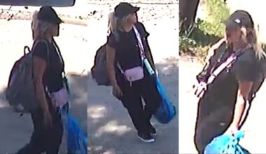 Edmonton police seek suspect in vehicle arson