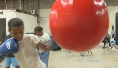 Toledo youth boxing team wins six titles at national ‘King of the Jungle’ championship