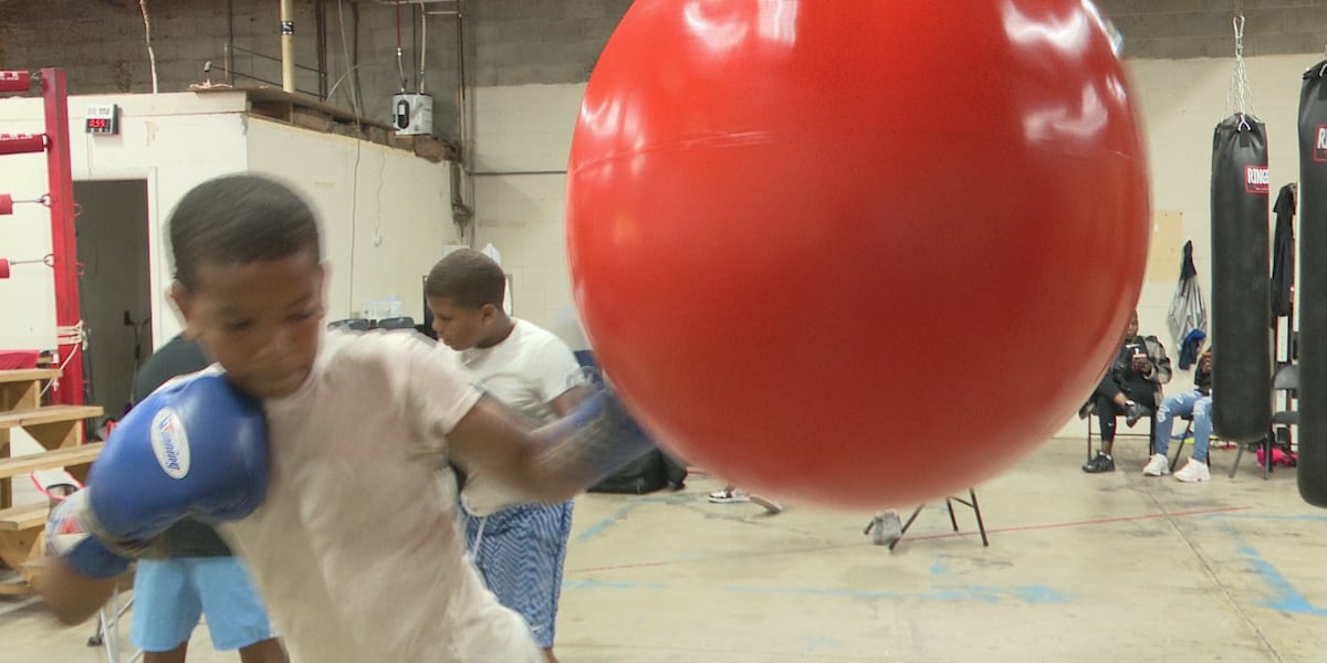 Toledo youth boxing team wins six titles at national ‘King of the Jungle’ championship