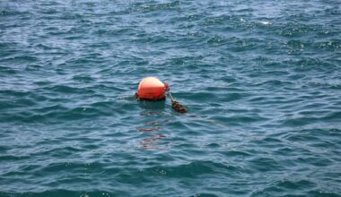 Life-saving program for newcomers to Canada proves popular in Mississauga 