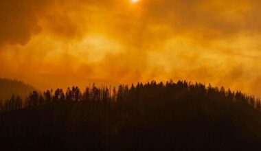 Surrey Sikh gurdwara seeking donations for B.C. wildfire victims
